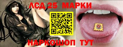 СК Сланцы