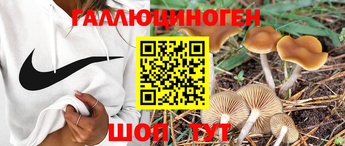 Псилоцибиновые грибы Magic Shrooms  Вход с VPN  Псилоцибиновые грибы мицелий  купить   Наро-Фоминск 